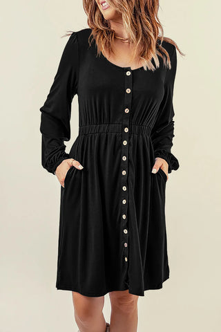 Blackbird Button Dress