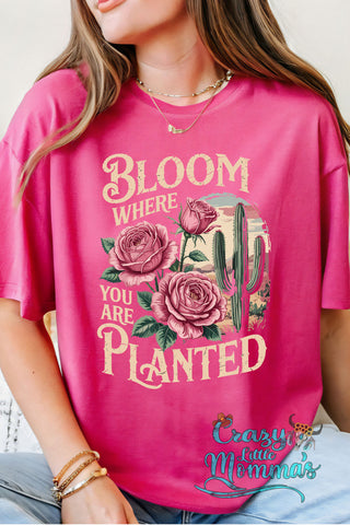 Pink Bloom Where You Are Planted tee with roses and desert cactus graphic, an inspired Western tee.