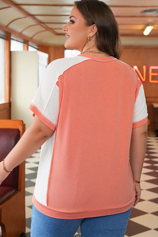 Plus-size woman from behind wearing a coral ribbed panel top with white sleeves and side panels.