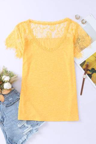 Desert Lace Top of white background