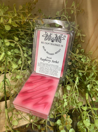Raspberry Sobert Wax Melt
